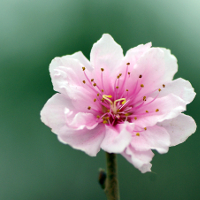 Đề thi học kỳ 1 môn Tiếng Anh lớp 7 Chương trình mới năm học 2016 - 2017 có đáp án