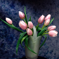 Đề thi học kỳ 1 môn tiếng Anh lớp 9 tỉnh Đồng Nai năm học 2016 - 2017 có đáp án