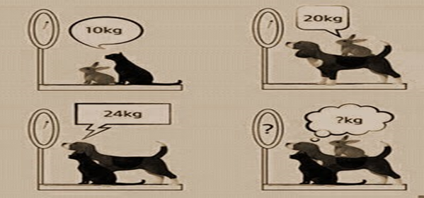 Đề thi hk1 môn toán lớp 6