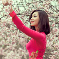 Đề thi học kì 1 môn Vật lý lớp 8 năm học 2016 - 2017