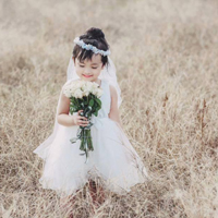 Đề thi Violympic Toán lớp 2 vòng 11 năm 2016 - 2017