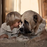 Đề thi học kì 1 môn Tin học lớp 3 trường tiểu học Nơ Trang Lơng, Đắk Nông năm 2016 - 2017