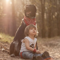 Đề thi học kì 1 lớp 4 môn Lịch sử - Địa lý trường tiểu học Xuân Huy, Phú Thọ năm 2016 - 2017