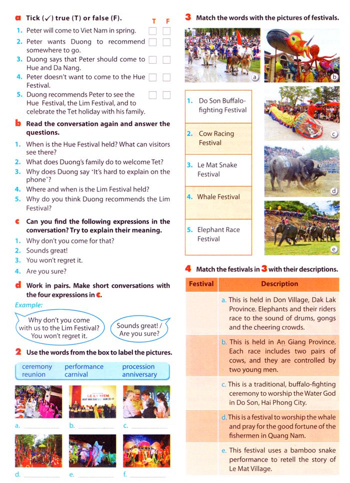 Unit 5: Festivals in Viet Nam