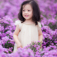 Đề thi học kì 1 môn Toán lớp 2 năm 2016 - 2017