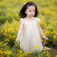 Đề thi học kì 1 môn Tin học lớp 5 trường tiểu học Nơ Trang Lơng, Đắk Nông năm 2016 - 2017