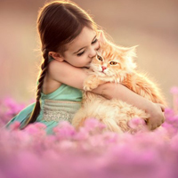 Đề thi học kì 1 lớp 5 môn Lịch sử - Địa lý trường tiểu học Trần Hưng Đạo, Đắk Lắk năm 2016 - 2017