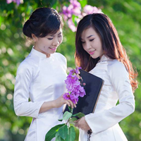 Đề thi học kì 1 môn Ngữ văn lớp 6 Phòng GD&ĐT Thái Thụy, Thái Bình năm học 2016 - 2017