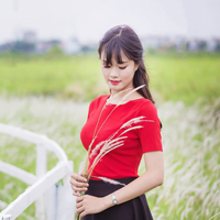 Đề thi học kì 1 môn Vật lý lớp 8 trường THCS Phùng Hưng, Hưng Yên năm học 2016 - 2017