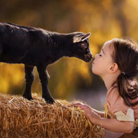 Đề thi học kì 1 môn Tiếng Việt lớp 2 trường tiểu học Lục Sơn, Bắc Giang năm 2016 - 2017