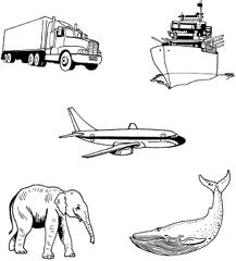 Đề thi Olympic Tiếng Anh lớp 3