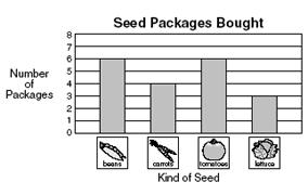 Đề thi Olympic Tiếng Anh lớp 3