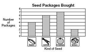 Đề thi Olympic Tiếng Anh lớp 3