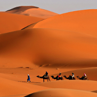 Từ vựng Unit 9 lớp 12 Deserts