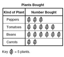 Đề thi Olympic Tiếng Anh lớp 3