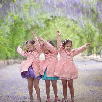 Đề thi Violympic Toán lớp 1 vòng 12 năm 2016 - 2017