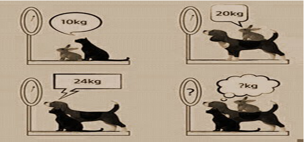 Đề thi hk1 môn toán lớp 6