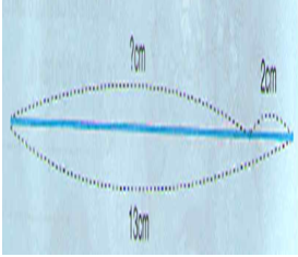 Giải bài tập trang 52 SGK Vật Lý lớp 7