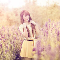 Đề thi học kì 1 môn Ngữ văn lớp 11 trường THPT Ngô Gia Tự, Phú Yên năm học 2016 - 2017