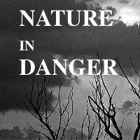 Giải bài tập SGK Tiếng Anh lớp 11 Unit 10: Nature in Danger