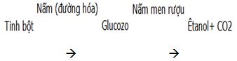 Đề cương ôn tập học kì 2 môn Sinh học lớp 10