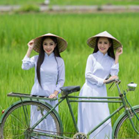 Đề thi giữa học kì 2 môn Toán hình học lớp 7 Phòng GD&ĐT Bình Giang, Hải Dương năm học 2015 - 2016