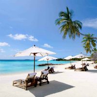 Bài tập Tiếng Anh lớp 7 Unit 9 PART A: A HOLIDAY IN NHA TRANG