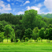 Giải bài tập Tiếng Anh lớp 9 Chương trình mới Unit 1: SKILLS 1, SKILLS 2, LOOKING BACK - PROJECT