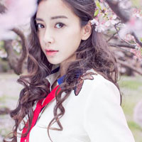 Đề thi thử THPT Quốc gia năm 2017 môn Địa lý trường THPT Ngô Gia Tự, Vĩnh Phúc - Đề 2