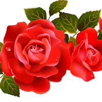 Đề thi thử THPT Quốc gia năm 2017 môn Tiếng Anh - Đề 11