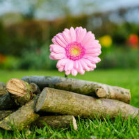 Đề thi thử THPT Quốc gia năm 2017 môn Tiếng Anh - Đề 12