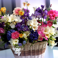 Bộ đề thi học kỳ 1 môn Tiếng Anh lớp 9 huyện Hải Lăng, Quảng Trị năm học 2016 - 2017 có đáp án