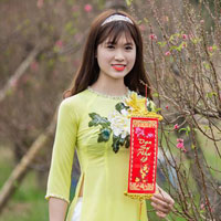 Đề thi học sinh giỏi môn Vật lý lớp 9 tỉnh Bắc Ninh năm học 2015 - 2016