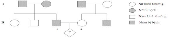 Đề thi thử THPT Quốc gia năm 2017 môn Sinh học có đáp án