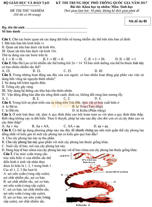 Đề thi thử nghiệm kỳ thi THPT Quốc gia năm 2017 môn Sinh học