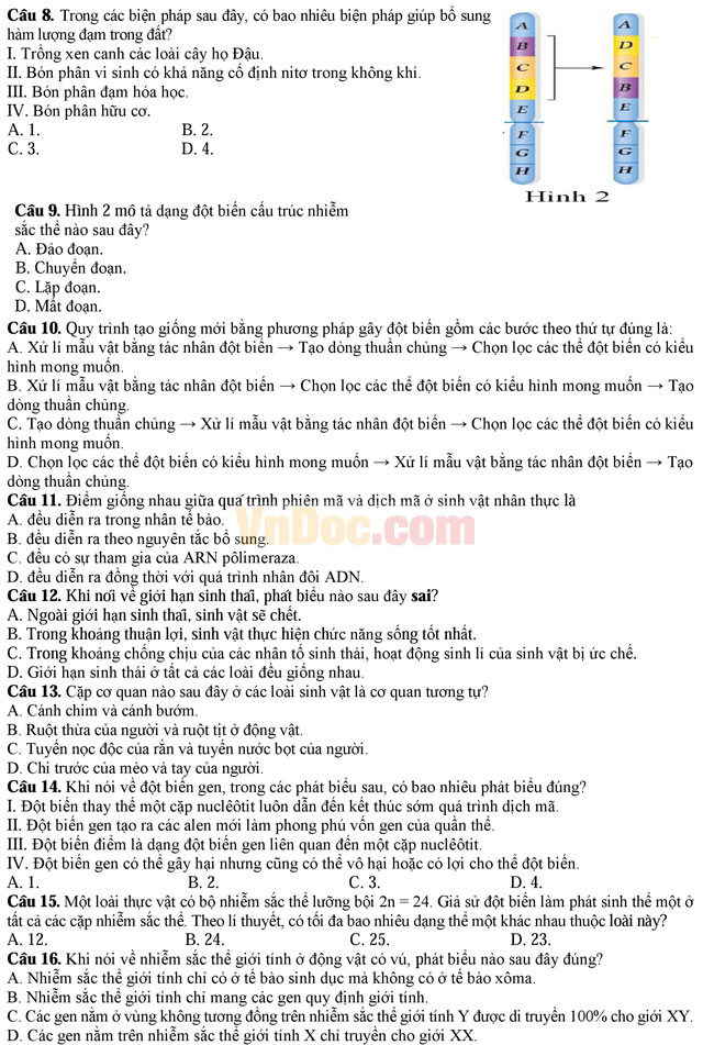 Đề thi thử nghiệm kỳ thi THPT Quốc gia năm 2017 môn Sinh học