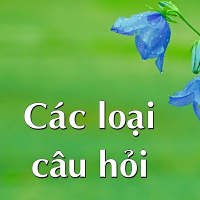 Các loại câu hỏi trong Tiếng Anh