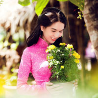 Đề thi học sinh giỏi môn Ngữ văn lớp 11 trường THPT Hà Huy Tập, Nghệ An năm học 2016 - 2017