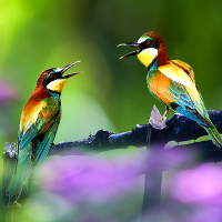 Bộ bài tập tiếng Anh lớp 10 Unit 8: THE STORY OF MY VILLAGE có đáp án