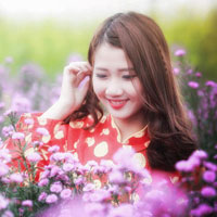 Đề thi giữa học kì 2 môn Ngữ văn lớp 9 Phòng GD&ĐT Tây Hồ, Hà Nội năm học 2015 - 2016