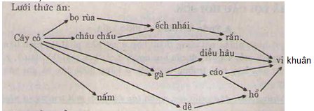 Bài tập sinh học lớp 9 Bài tập sinh học lớp 9