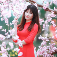 Đề thi khảo sát học sinh giỏi môn Toán lớp 6 Sở GD&ĐT Đồng Tháp năm học 2016 - 2017