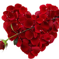 Valentine của bạn sẽ như nào?