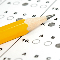 Đề kiểm tra giữa học kỳ 2 môn Tiếng Anh lớp 6 có đáp án