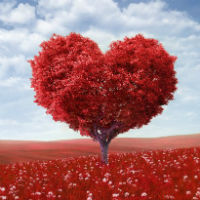 Học tiếng Anh hò hẹn với ''gấu'' qua bài trắc nghiệm về Tình yêu