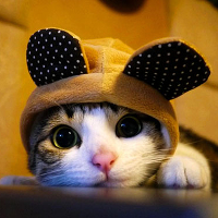 Đề kiểm tra 1 tiết môn Tiếng Anh lớp 11 Số 1 trường THPT Đoàn Thượng, Hải Dương năm học 2016 - 2017 có đáp án