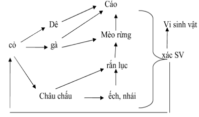 Đáp án đề thi giữa hk2 môn Sinh học lớp 9