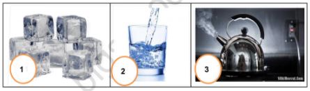 Đề thi giữa học kì 2 môn Tiếng Việt lớp 5