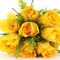 Giải bài tập SGK Tiếng Anh lớp 12: Test Yourself D (Trang 116-117)