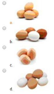 Đề thi Violympic Toán Tiếng Anh lớp 1